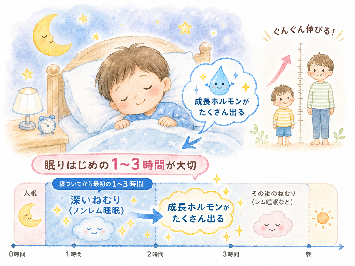 眠りはじめの深い睡眠と成長ホルモンの分泌を説明したイラスト